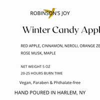 Winter Candy Apple 5oz Ceramic Candle- Holiday Collection