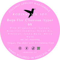 Beija Flor Cheirosa 68 (type) 14oz Candle-  ROMANTIC COLLECTION