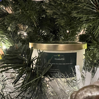 Frosted Fir 8.5 oz Glass Candle- Holiday 2025 Collection